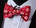 HISDERN Men's Christmas Woven Party Self Bow Tie Pocket Square Set