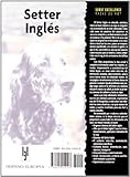 Image de Setter ingles / English Setter (Excellence) (Spanish Edition)