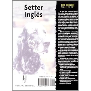 Setter ingles / English Setter (Excellence) (Spanish Edition)