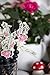 Talking Tables Alice In Wonderland Party Supplies | Canape Picks or Cake Decorations | Great For Mad Hatter Tea Party, Birthday Party And Baby Shower | 12 Pack