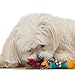 Dog Toy Pet Stages Mini Barbell Chew