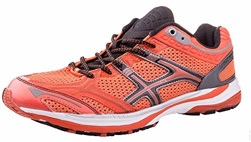 chaussure sport crivit