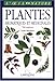 PLANTES AROMATIQUES MEDICINALES -N.P. by 