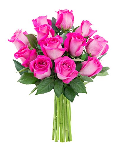KaBloom Flowers - Mother's Day Collection - Bouquet of 12 Fresh Pink Roses Without Vase - Gift for Birthday, Anniversary, Get Well, Thank You, Valentine, Mother’s Day Fresh Flowers