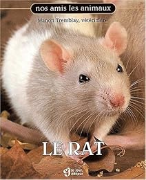 Le  rat