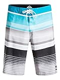 Quiksilver Mens Everyday Stripe 21 Boardshorts
