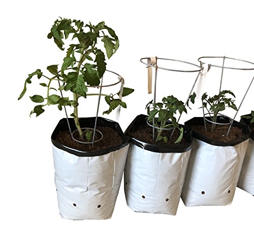 Small Plant Garden Starter Kit- Mini Wire Tomato Support Cage (5), 1-gallon Grow Bags (5) and Tiny White Hanging Plastic Identification Tags (5)-Container Patio Gardening Set