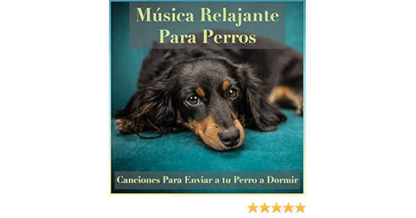 Relaxmydog Dog Music Dreams Relax My Puppy Musica Relajante Para Perros Canciones Para Enviar A Tu Perro A Dormir Amazon Com Music