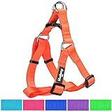 Blueberry Pet Step-in Harnesses Classic Solid No Pull Dog Harness Adjustable Made For Last - Florence Orange , Nylon 3/4