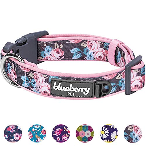 Blueberry Pet 6 Patterns Soft & Comfy Welcoming Spring Rose Flower Prints Girly Padded Dog Collar, Medium, Neck 14.5″-20″, Adjustable Collars for Dogs