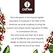 K Cups Coffee Variety Pack [Single Serve Coffee K-Cups Pods] K Cups Brewers Sampler (Compatible with all Keurig Coffee Machines, 8 Count (5 Lover's Blends) Organic K Cups