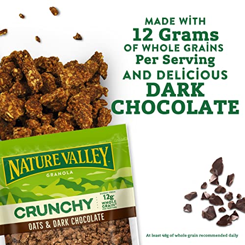 Nature Valley Granola, Protein Oats and Dark Chocolate, 16 oz (Pack of