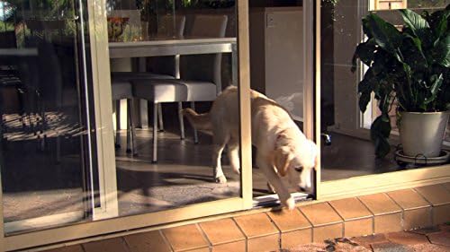autoslide dog door