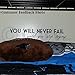 You Will Never Fail Until You Stop Trying Vinyl Lettering Home Decor Sticker (Black, 6