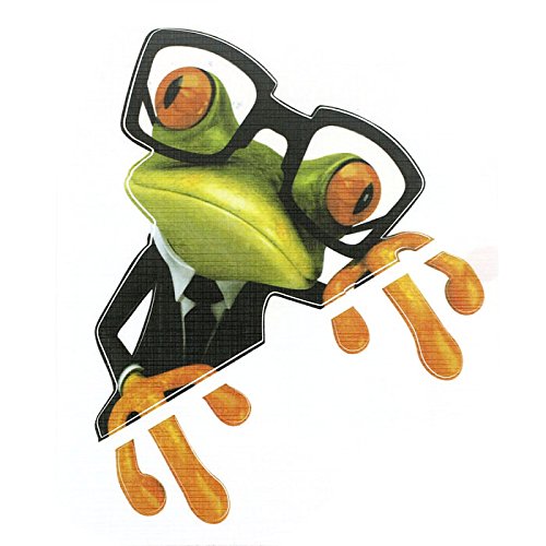 SKS Distribution® 3D Clever Teacher Glasses Frogs Funny Car Stickers car styling vinyl decal sticker decoration High temperature & water Proof