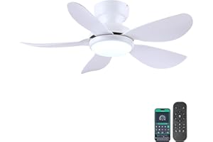 36 Inch Modern Ceiling Fans with Lights, Small Flush Mount Ceiling Fan with Remote/APP Control, 5 Reversible 6 Speeds Curved 