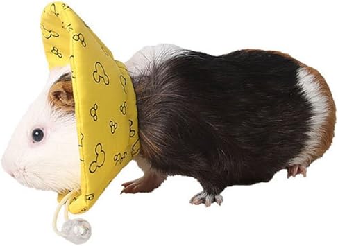 guinea pig collar