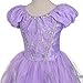 Dressy Daisy Toddler Girls Princess Dress Up Costumes Halloween Fancy Party Dress Silver Trimmed Size 4T to 5T