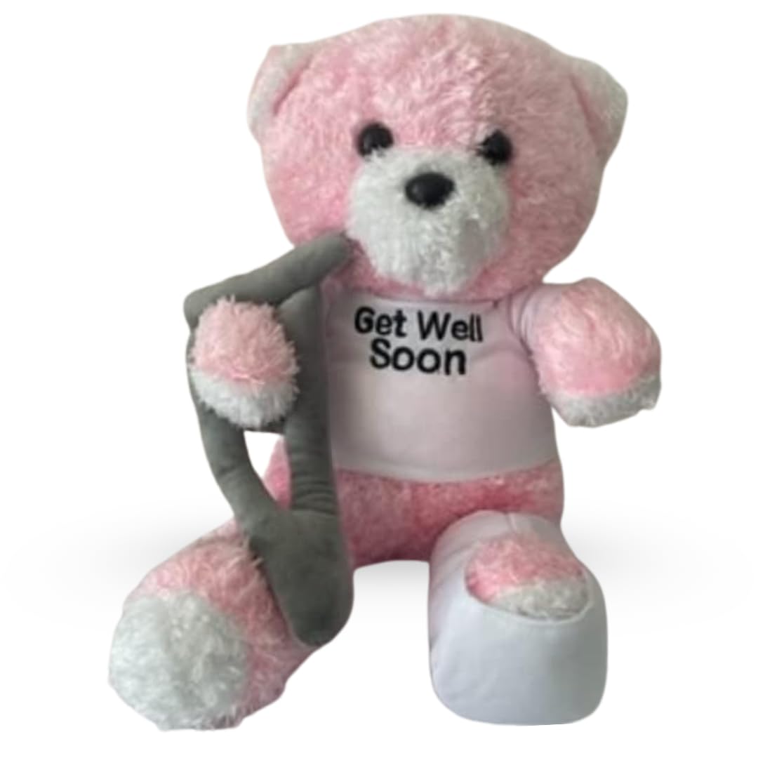 Pound Veg Get Well Soon Teddy Bear - Plush Teddy Bear for Kids/Men/Women, Get Well Soon Animal Gift (Pink) (Pink Teddy)