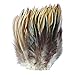 Zucker B151 Strung Badger Feather, Natural