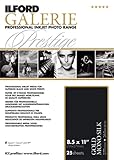 Ilford 2002419 8.5 X 11 Inches GALERIE Prestige Gold Mono Silk, 25 Sheet Pack (Black)