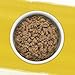Purina Beyond Chicken, Carrot and Pea Ground Grain Free Wet Dog Food Natural Pate with Added Vitamins and Minerals - (Pack of 12) 13 oz. Cans
