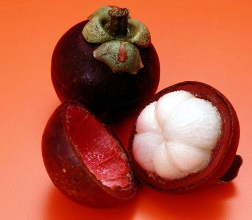 Hot SALE!!! Mangosteen Seeds, Nutrient-Rich Queen Of Tropical Fruits, Fruit Seeds, 10 Seeds