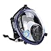 Holulo Organic Vapor Full Face Respirator With Visor Protection For Paint, chemicals, polish
