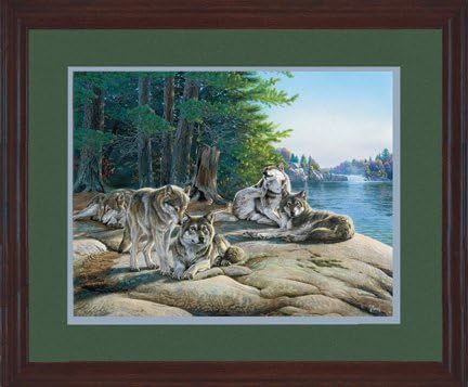 Al Agnew Wolf Ridge Framed Print