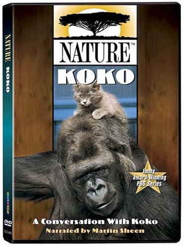 Amazon.com: Animal Atlas: Family Time : Artist Not Provided
