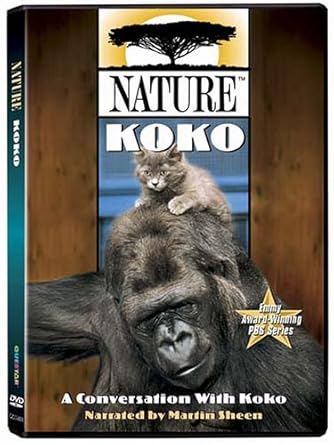 Kokos Story Scholastic