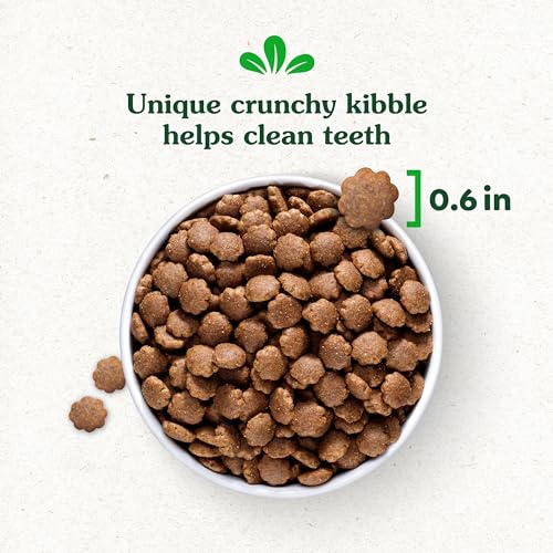 GREENIES SMART ESSENTIALS ADULT HIGH PROTEIN DRY DOG FOOD REAL CHICKEN & RICE RECIPE, 6 LB. BAG