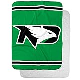 University of North Dakota Primary Logo Stripes