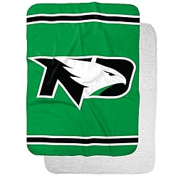 University of North Dakota Primary Logo Stripes