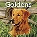2016 Monthly Wall Calendar - Golden Retrievers