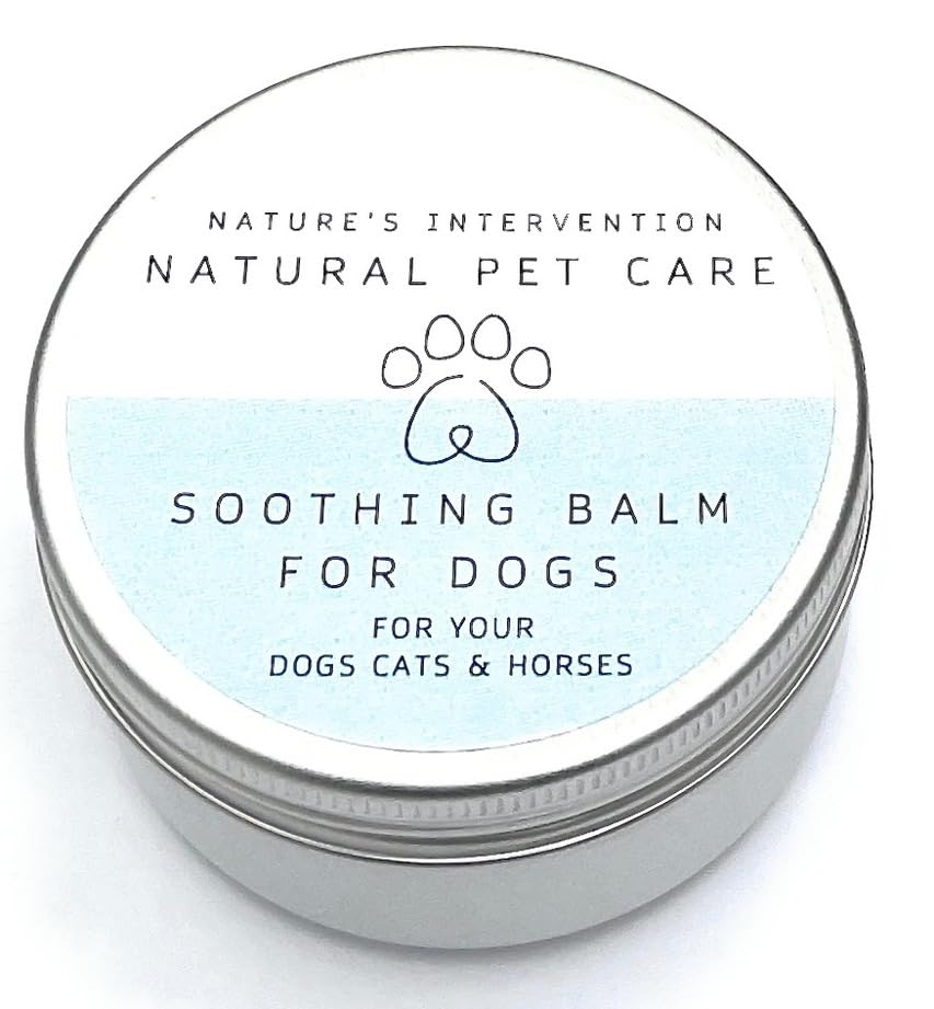 NATURE'S INTERVENTION 100% Natural Soothing Balm for Dogs – 50ml – Beeswax, Shea & Lavender – Protective Paw, Nose & Skin Butter – Lick-Safe & Non-Toxic