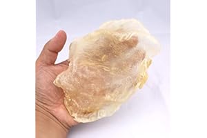 XLSEAFOOD Sun Dried Wild Caught Grouper Fish maw Grade AAA277g Size Medium 美国旭龙行野生淡干花胶特级墨西哥蝴蝶胶#15 常规装0.5磅 8-15 pcs per pack (MEDIUM)