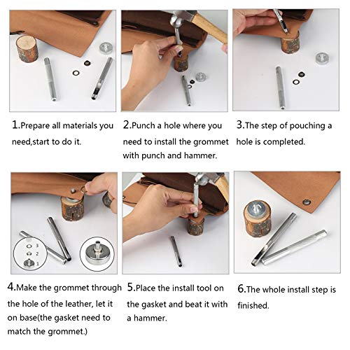 5 Grommet+MEZOOM+Multi+Color+Transparent+Projects