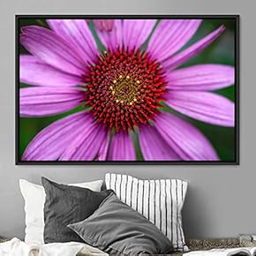 signwin Framed Canvas Wall Art Blooming Closeup Botanical...