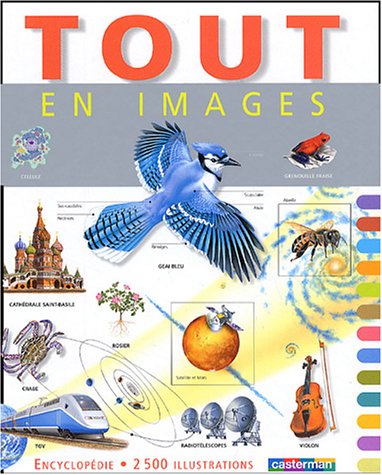 Tout en images by (Album)