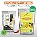 100% Pure CASSIA OBOVATA Powder for hair - 100 Grams - The Henna Guys