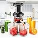 Flexzion Cold Press Juicer Machine - Masticating Juicer Slow Juice Extractor Maker Electric Juicing Vertical Stand for Fruit, Vegetable, Greens, Wheat Grass & More with Big Cup & Juicing Bowl