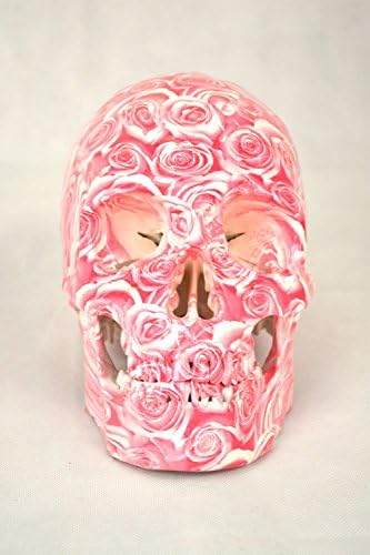 Wellden Product High Degree Emulation 1:1 Human Medical Skull Replica, 2-part, Life Size Rose White