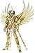 Bandai Tamashii Nations Saint Myth Cloth 10th Anniversary Version Phoenix Ikki God Cloth Action Figure