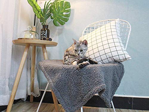 4 furrybaby+Premium+Fluffy+Fleece+Blanket