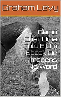 Livro Como Criar Uma Foto E Um Ebook De Imagens No Word