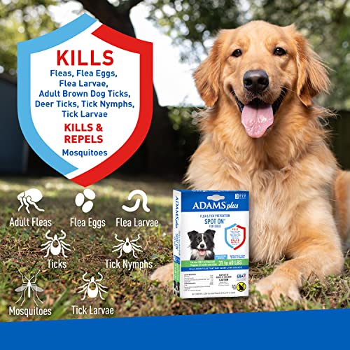 Adams Plus Flea & Tick Prevention Spot On for Dogs 3160 Pounds 12
