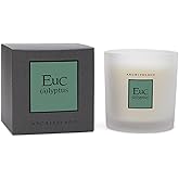 Archipelago Botanicals Hand-Poured Soy Wax Blend Scented Candle with Fragrance Oils, Lead-Free Cotton Wicks, Glass Candle Jar with Gift Box, Burns Approx. 60 Hours, Eucalyptus, 10 Oz.