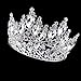 Vintage Rhinestones Crystal Crown for Women Wedding Bridal Tiara Flower Crown Hair Accessories (silver-white)