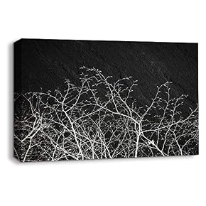 NWT Canvas Wall Art Sports Abstract Black Painting...